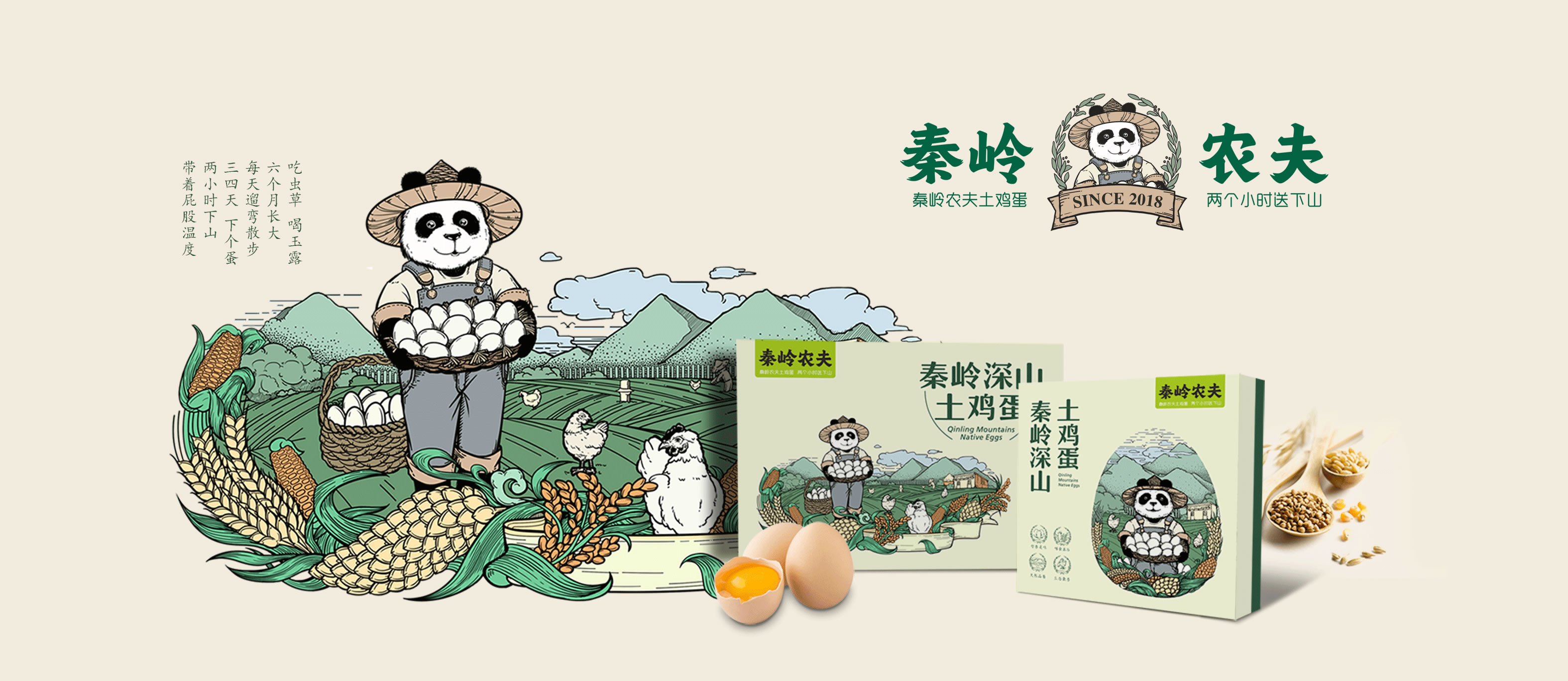 雞蛋包裝盒設(shè)計方案-雞蛋包裝設(shè)計公司(圖1)