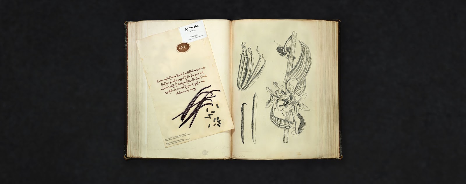 南昌禮盒設(shè)計-南昌禮盒設(shè)計公司(圖5)