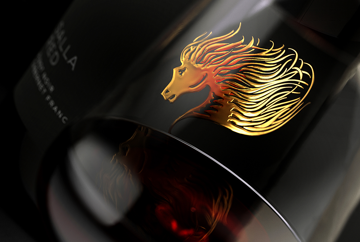 優(yōu)質葡萄酒現(xiàn)代化酒標設計欣賞(圖3)