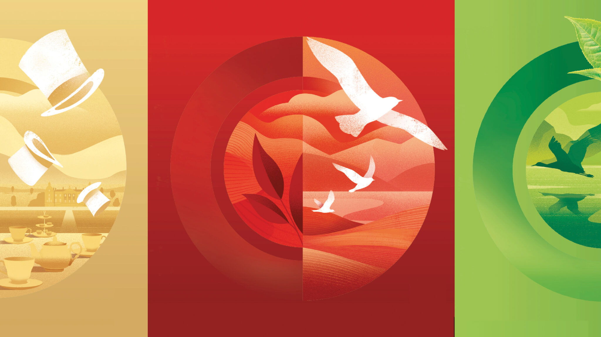 Twinings 茶包裝這樣設(shè)計視覺識別更加現(xiàn)代(圖4)