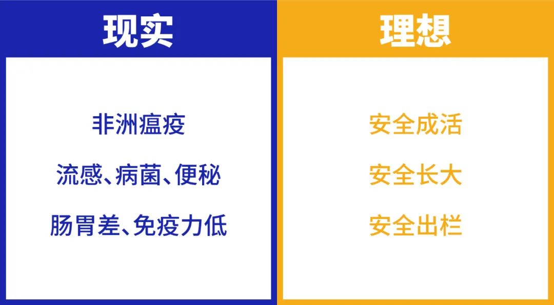 鯤鵬飼料品牌升級為鯤鵬安全飼料進(jìn)一步強(qiáng)化品牌優(yōu)勢(圖1)