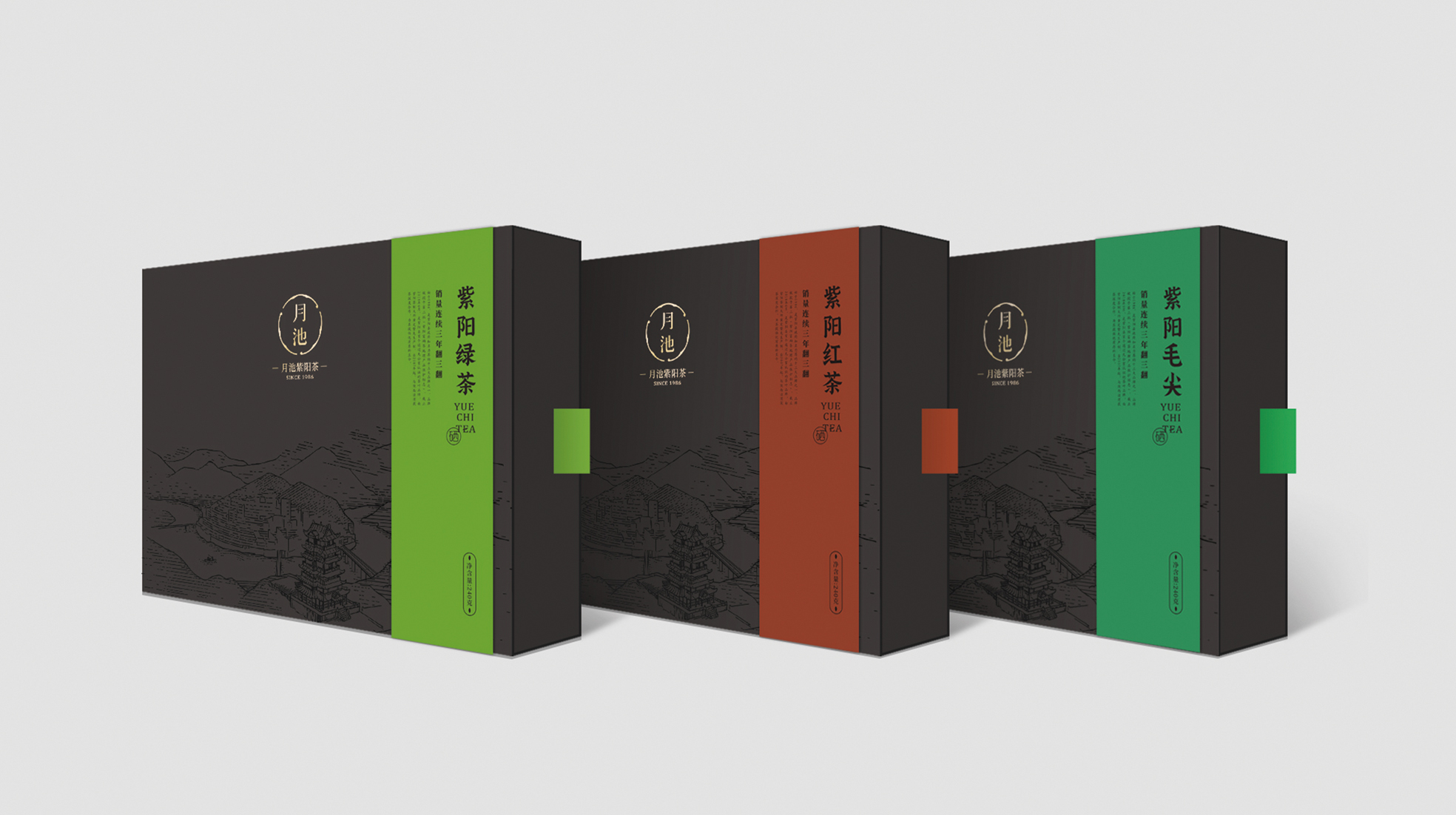 紫陽富硒茶包裝設(shè)計作品欣賞(圖1)