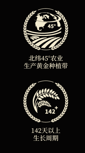 四喜如何通過包裝設(shè)計(jì)，讓金鶴黑珍珠大米彰顯高端定位(圖4)