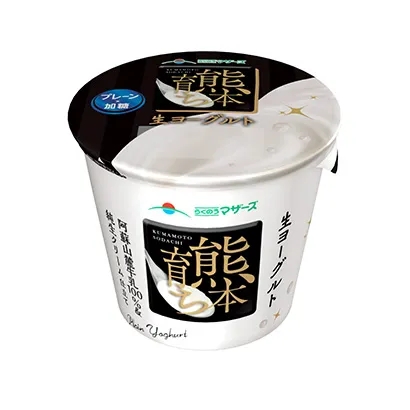 水果酸奶冰淇淋產(chǎn)品包裝設(shè)計(圖3)