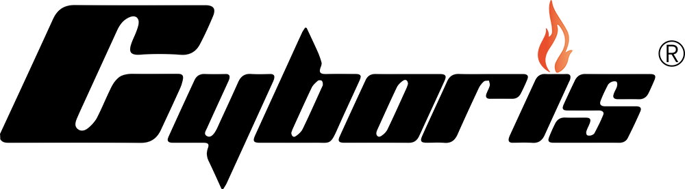 賽柏瑞斯品牌logo設(shè)計(jì)欣賞與分析(圖1)