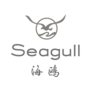海鷗相機(jī)品牌logo設(shè)計(jì)欣賞與分析(圖1)