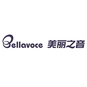 美麗之音品牌logo設(shè)計(jì)欣賞與分析(圖1)