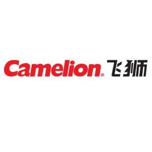 飛獅品牌logo設(shè)計欣賞與分析(圖1)
