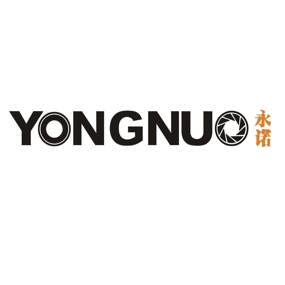 永諾品牌logo設(shè)計欣賞與分析(圖1)