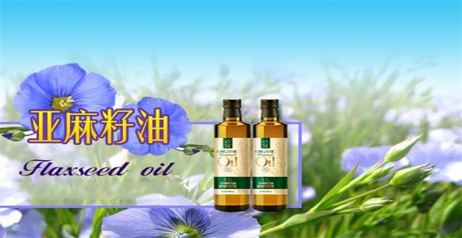 圣基品牌logo與食品包裝設(shè)計欣賞(圖2)