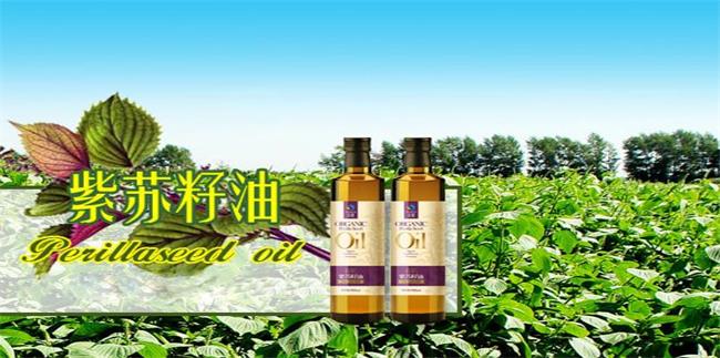 圣基品牌logo與食品包裝設(shè)計欣賞(圖3)