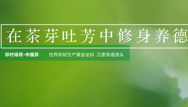 鄧村綠茶食品包裝設(shè)計(jì)欣賞(圖2)